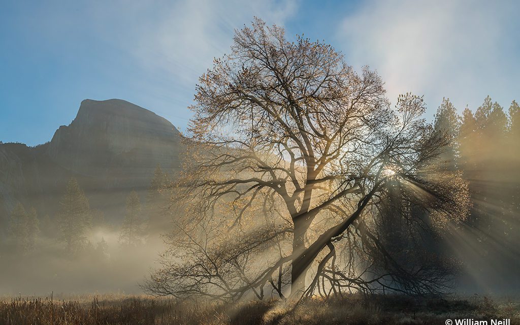 Visit William Neill’s “Passages of Light” Exhibit At The Ansel Adams Gallery