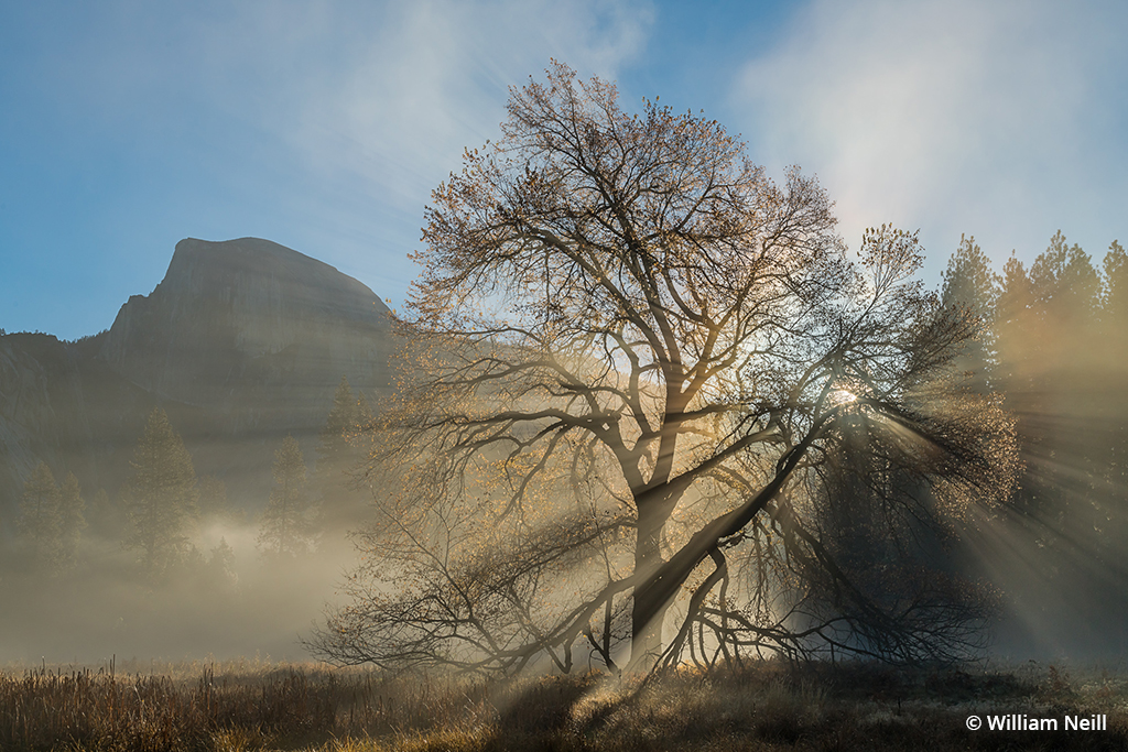 Landscape photograph of Yosemite featured in the "Passages of Light" exhibit at The Ansel Adams Gallery