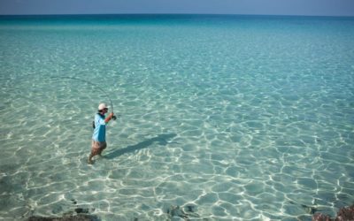 What and Where to Fish in the Seychelles Islands