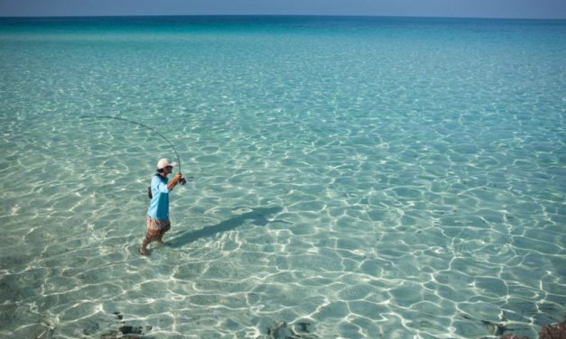 What and Where to Fish in the Seychelles Islands