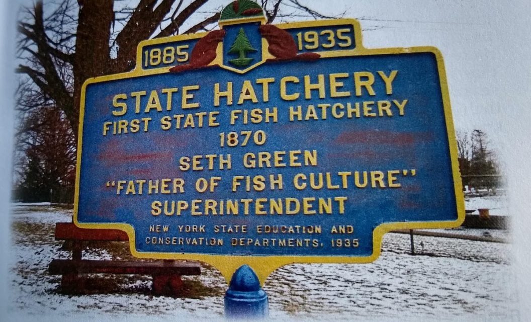 12 New York Fish Hatcheries: Locations and What They Rear