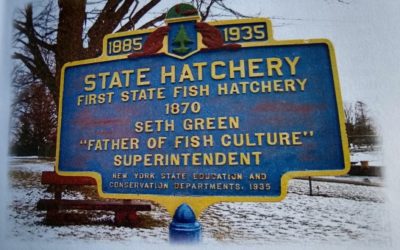 12 New York Fish Hatcheries: Locations and What They Rear