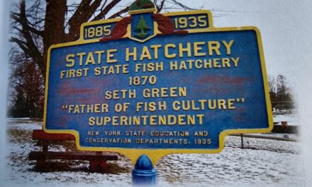 12 New York Fish Hatcheries: Locations and What They Rear