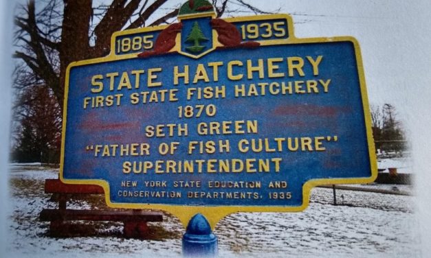 12 New York Fish Hatcheries: Locations and What They Rear