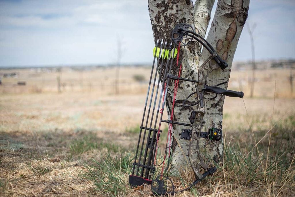 A hunting bow rests against a tree