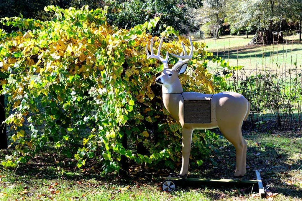 Deer target for bowhunters stands near a bush.