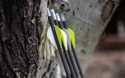 4 Summer Training Tips for Bowhunters