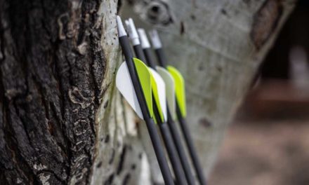 4 Summer Training Tips for Bowhunters