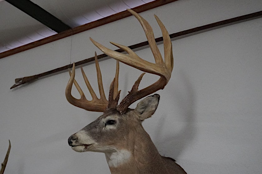 The General Whitetail