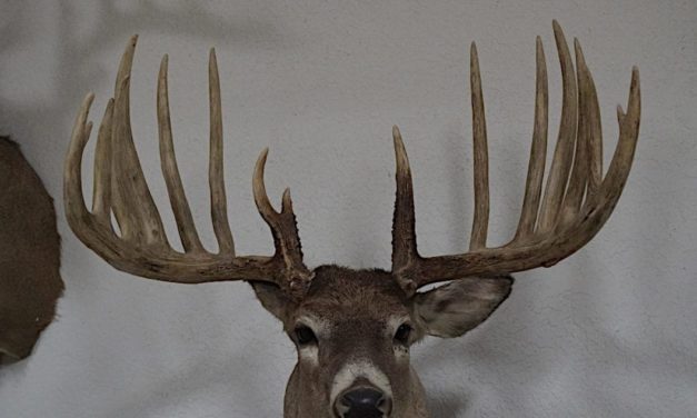 5 Wild World-Record Bucks That Successfully Avoided All Hunters