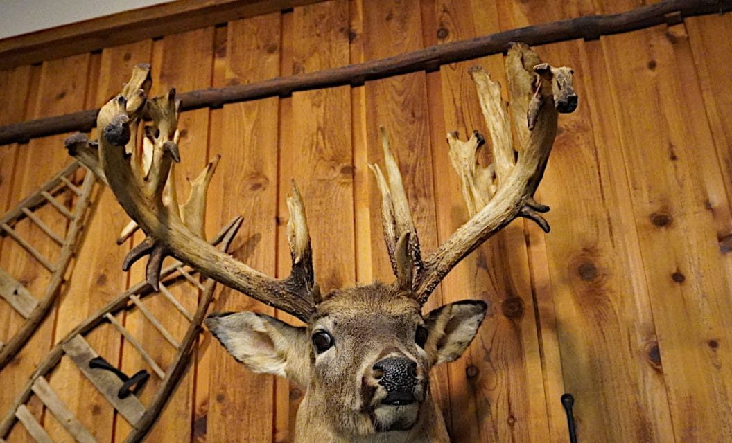 6 World Class Bucks That Fell Decades Before High Fences Even Existed
