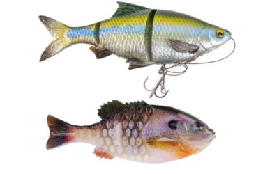 8 Most Realistic Swimbaits Made Today