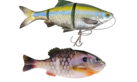 8 Most Realistic Swimbaits Made Today
