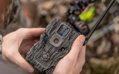 Cellular Trail Camera Options and Examining the Pros and Cons of the Technology