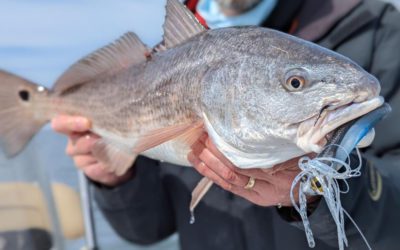 Give ‘Em the DieZel!