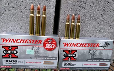 How to Decide Between a .308 and a .30-06