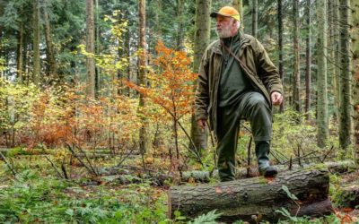 How to Scent Control Properly for Off-Season Scouting