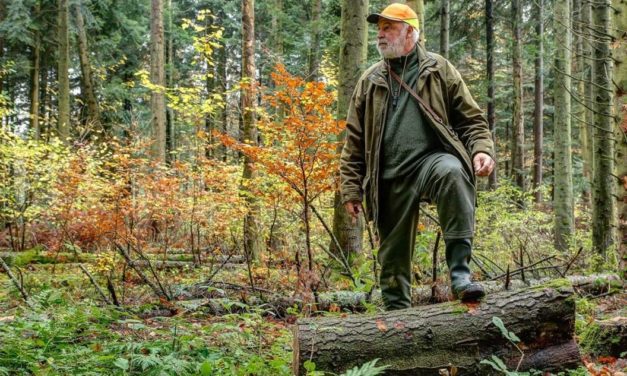 How to Scent Control Properly for Off-Season Scouting
