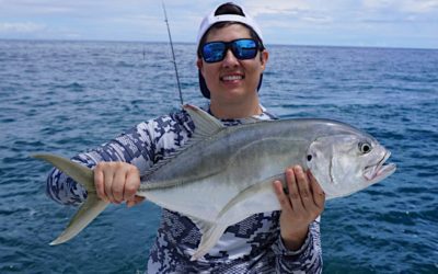 Jack Crevalle, Everything To Know About These Saltwater Fighters