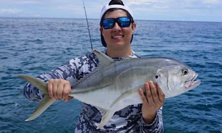 Jack Crevalle, Everything To Know About These Saltwater Fighters