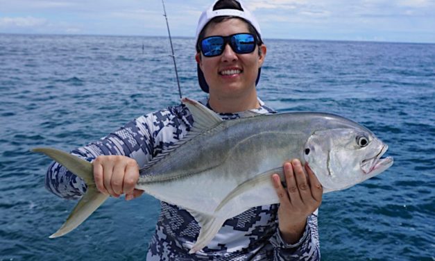 Jack Crevalle, Everything To Know About These Saltwater Fighters