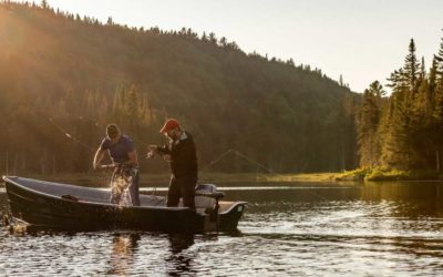 Lake Stratification Layers and Their Impact on Fishing Success