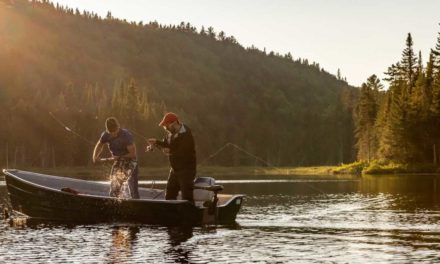 Lake Stratification Layers and Their Impact on Fishing Success