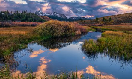 Layers In The Landscape Assignment Winner Harry Lichtman