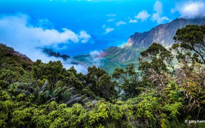 Photo Of The Day By gary.hammes