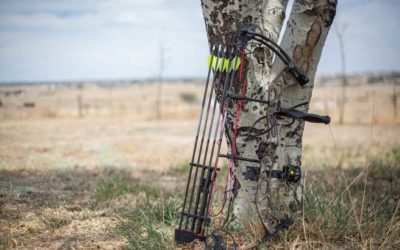 Shoot Your Bow in the Summer or Pay the Price in the Fall