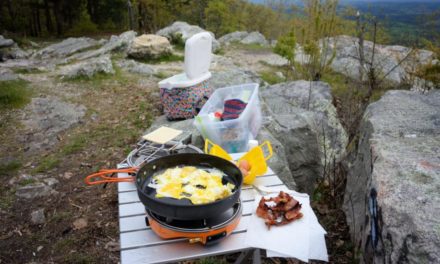 The Absolute Best Food Storage for Camping