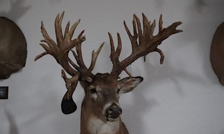 The Mitch Vakoch Buck is Still Minnesota’s Non-Typical Whitetail Record
