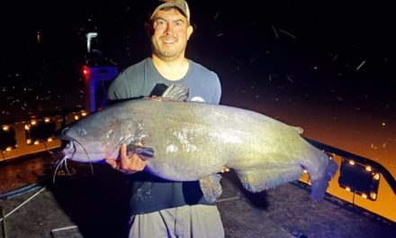 Virginia Bow-Angler Strikes New Blue Catfish State Record