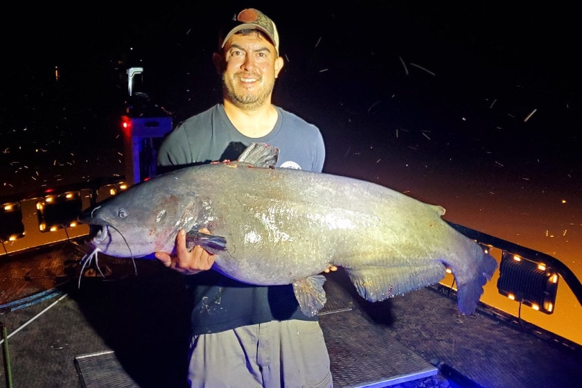 Virginia Bow-Angler Strikes New Blue Catfish State Record