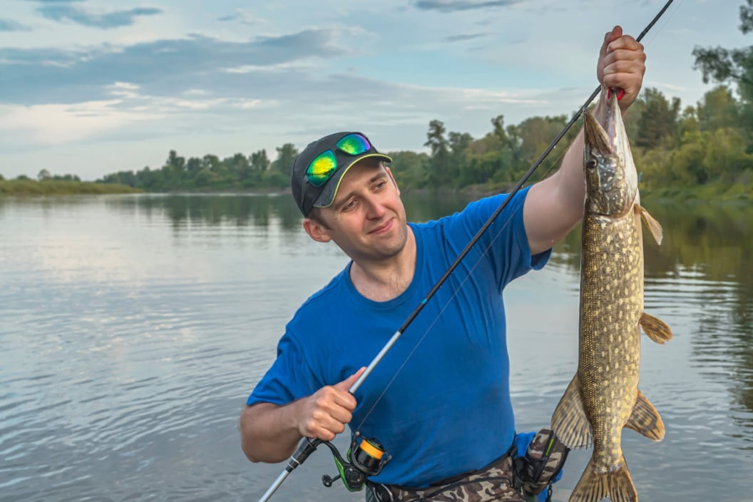 Pike fishing. Fisherman catch fish in water at river