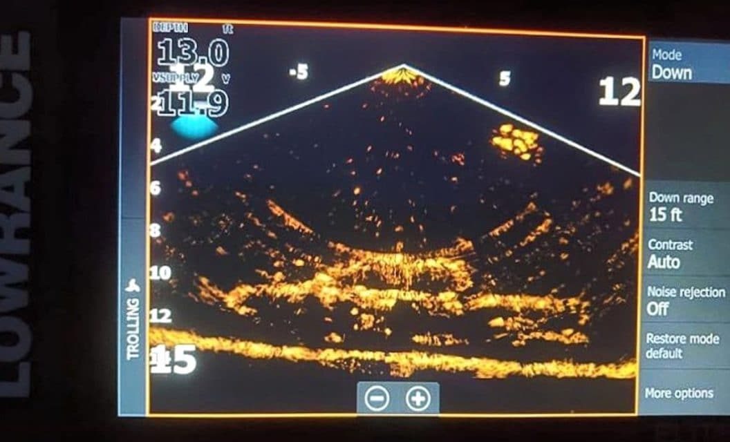 4 Amazing Things Found on Lowrance ActiveTarget Live Sonar