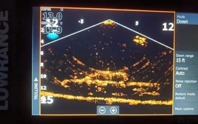 4 Amazing Things Found on Lowrance ActiveTarget Live Sonar