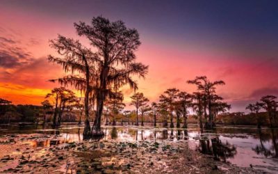 5 Best State Parks in Texas for Camping