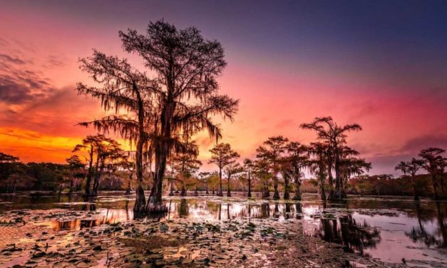5 Best State Parks in Texas for Camping