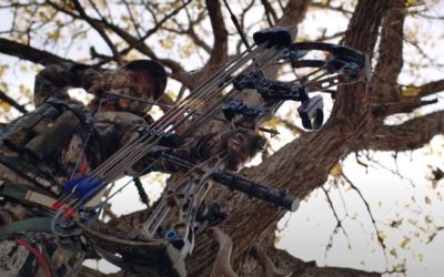 5 Best Women’s Hunting Bows of 2022