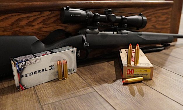 8 Best .450 Bushmaster Hunting Rifles on the Market