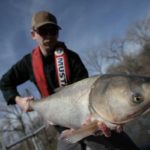 Asian Carp Are Getting Rebranded and Renamed
