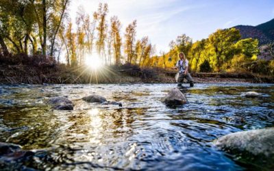 Best Books for Women Fly Anglers, From Beginner Basics to Deep Dives