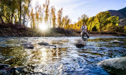 Best Books for Women Fly Anglers, From Beginner Basics to Deep Dives