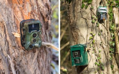 Cellular vs. Standard Trail Cams: Should Hunters Use Both?