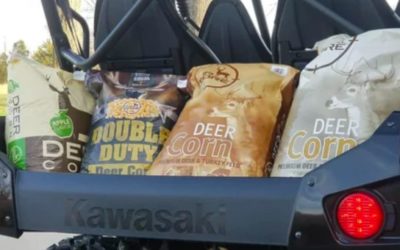 Deer Corn, Pros, Cons, and The Best Options Out There
