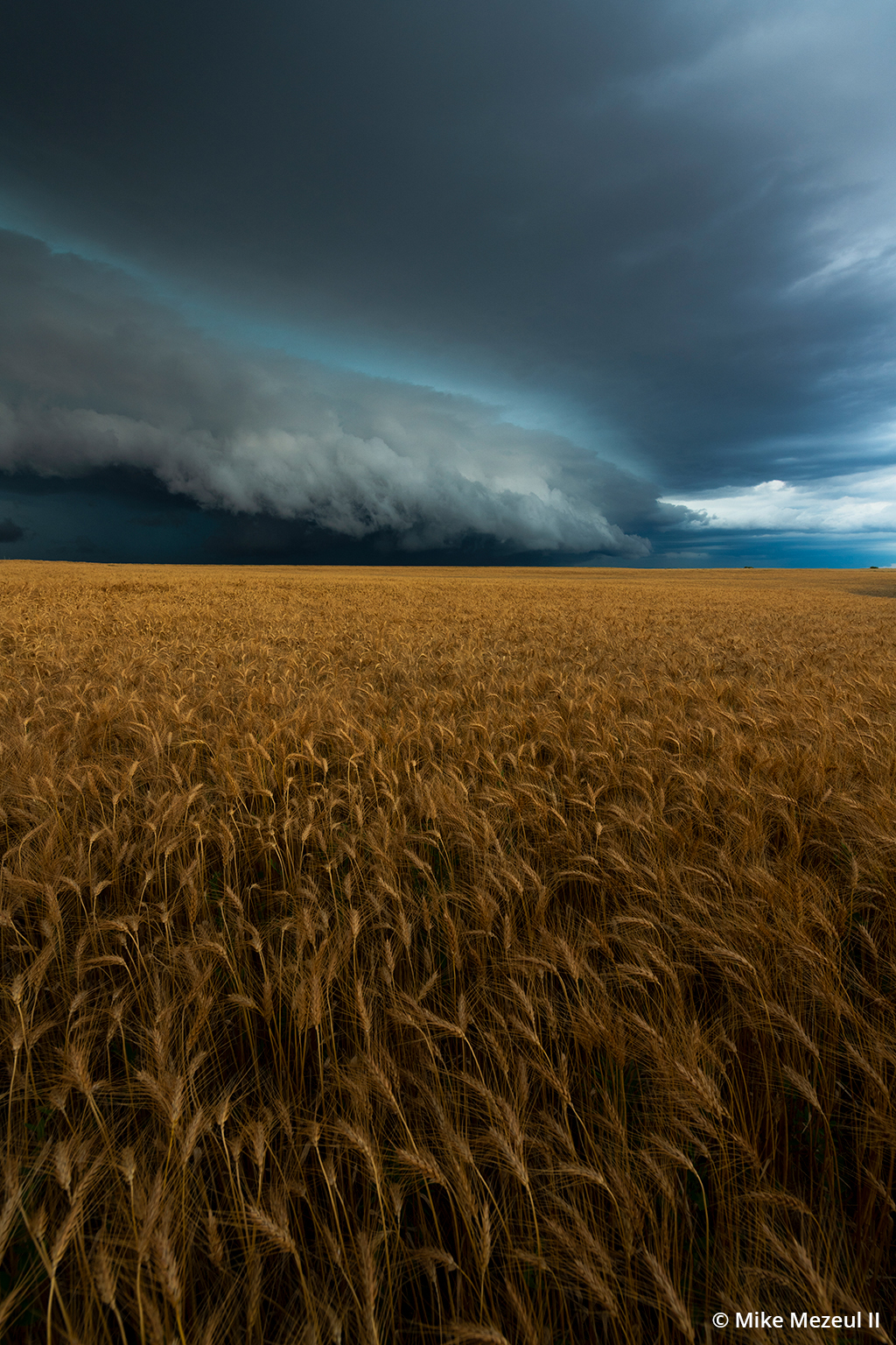 Photo of a shelf cloud formation