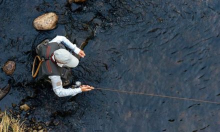 Fly Rod Weights: Here’s What the Numbers Mean and What’s Best for You
