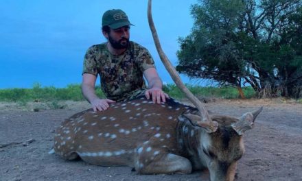 Hill Country Dreams: The Hunt for an Elusive 13-Year-Old Axis Buck in Texas