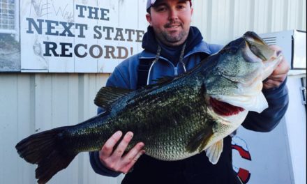 How Does Your State Stack Up With the Other 49 Largemouth Bass Records